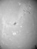 PIA24630: Black-and-White View of Ingenuity's Fourth Flight