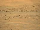 PIA24648: Mastcam-Z Views Ingenuity After Fifth Flight