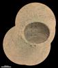 PIA24749: Laser Shots at Roubion
