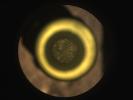 PIA24806: Perseverance's First Cored Mars Rock in Sample Tube