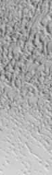 PIA01045: Frosted North Polar Sand Dunes in Early Spring