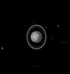 PIA01281: Hubble Observes the Moons and Rings of Uranus