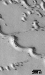 PIA01495: Evidence for Recent Wind Action on Martian Sand Dunes