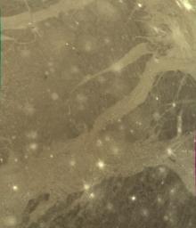 PIA01520: Ganymede's Varied Terrain