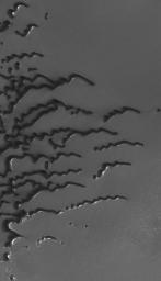 PIA01933: Summertime View of North Polar Sand Dunes
