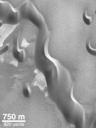 PIA02068: North Polar Sand Dunes