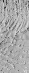 PIA02360: Ancient Paleo-Dunes Battered by Impact Craters