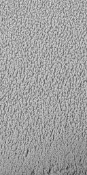 PIA02369: "Cottage Cheese" Texture on the Martian North Polar Cap in Summer