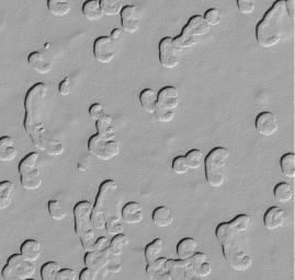 PIA02372: Martian South Polar Cap Close-Up