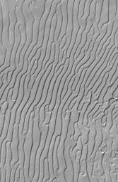 PIA02373: Mars South Polar Cap "Fingerprint" Terrain