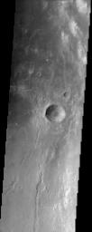 PIA03769: Eastern Floor of Holden Crater