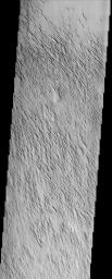 PIA03770: Medusae Fossae Formation