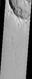 PIA03843: Amazonis Planitia