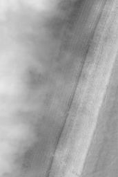 PIA04836: Chasma Australe Fog