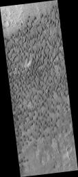 PIA09657: Dark Dunes in Herschel Crater