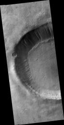 PIA09672: Scarp and Channels in a Crater in Terra Cimmeria