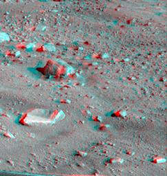PIA10991: Martian Surface as Seen by Phoenix