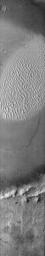 PIA11885: Proctor Crater Dunes