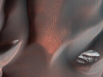 PIA13076: Proctor Crater Dune Field