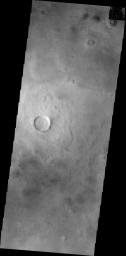 PIA13136: Utopia Planitia