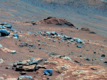 PIA13175: Carbonate-Containing Martian Rocks, False Color