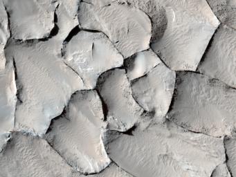 PIA13185: Polygonal Ridge in Gordii Dorsum Region, Mars