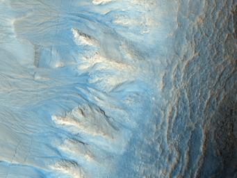 PIA13186: Northern Hemisphere Gullies on West-Facing Crater Slope, Mars