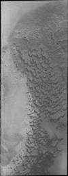 PIA13300: Polar Dunes
