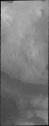 PIA13333: Polar Dunes