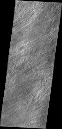 PIA13357: Olympus Mons Flows