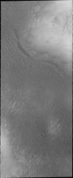 PIA13373: North Polar Dunes