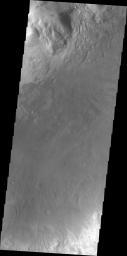 PIA13394: Moreux Crater Dunes