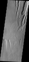 PIA13541: Ascraeus Mons