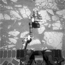 PIA13982: Opportunity's Arm and 'Gagarin' Rock, Sol 405