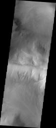 PIA14043: Gullies in Argyre Planitia