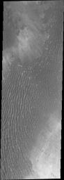 PIA14171: Dunes in Terra Cimmeri