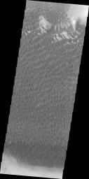 PIA14468: Rabe Crater Dunes