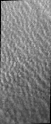 PIA15450: Polar Clouds