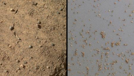 PIA16570: Windblown Sand from the 'Rocknest' Drift