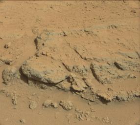 PIA17481: Evolving Excitement Over 'Darwin' Rock Outcrop at 'Waypoint 1'