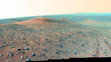 PIA18615: Opportunity's Northward View of 'Wdowiak Ridge' (False Color)