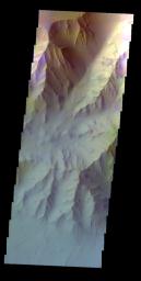 PIA18979: Coprates Chasma - False Color