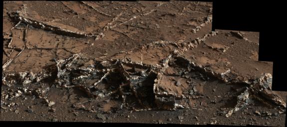 PIA19161: Prominent Veins at 'Garden City' on Mount Sharp, Mars
