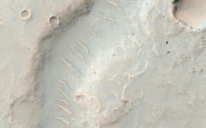 PIA19960: Nested Channels near Hellas