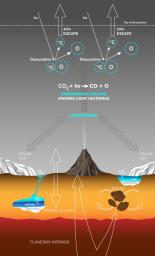 PIA20163: Carbon Exchange and Loss Processes on Mars