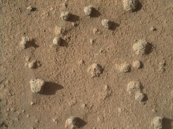 PIA20323: Nodules of Cemented Sand Grains Within Martian Sandstone