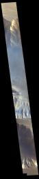 PIA20330: Mars Odyssey View of Morning Clouds in Canyon