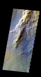 PIA20426: Terra Sirenum - False Color