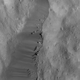 PIA22524: Occator Crater's Eastern Rim