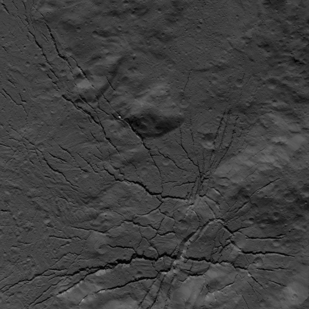 PIA22761: Fracture Network on the Floor of Occator Crater